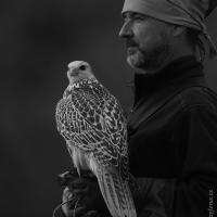 Gyr Cb Kon Ijna A Jh