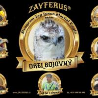 1 Top Luxus Martial Eagle